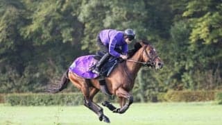 【武豊騎手】勝ちたい