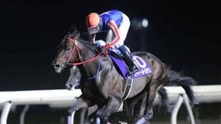 【門別・ウポポイオータムスプリント結果】スティールペガサスが人気に応えて3連勝