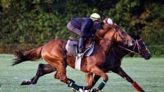 【凱旋門賞】出馬表確定と陣営のコメント