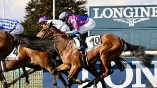 坂井瑠星騎手がシャンティイで騎乗し7着