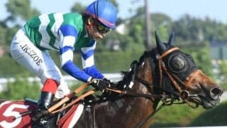 【スプリンターズS枠順確定】メイケイエールは7枠13番、ナムラクレアは5枠9番