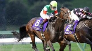 【シリウスS枠順確定】バーデンヴァイラーは6枠12番、ハピは4枠8番