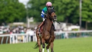 【スプリンターズS 調教後馬体重】メイケイエールは494kg、シュネルマイスターは503kg