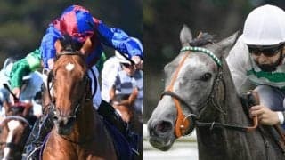 日本馬4頭と激突 凱旋門賞に参戦する海外の有力馬を紹介