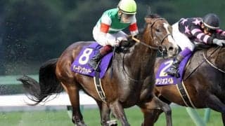 【シリウスS予想】混戦模様のハンデ重賞！ 人気馬が該当する「消去条件」とは