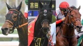 10頭の登録馬のうち4頭がGI馬、8頭が重賞馬 毎日王冠(GII)の出走想定馬一覧