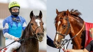 注目の長距離逃げ馬が1年ぶりに復帰、GI2勝馬の全弟や神戸新聞杯覇者の半兄も登場/京都大賞典出走想定馬13頭