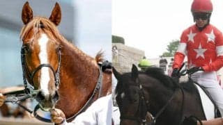 10年前の朝日杯FSで1着争いをした2頭の甥同士が対決を予定 サウジアラビアRC出走想定馬9頭