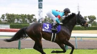 スプリンターズＳでは超人気薄が台頭。穴党記者はタイプの違う２頭の一発に期待