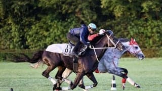 【凱旋門賞】日本馬の近況（9月30日）