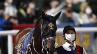 【今日の注目ポイント】中京でダートのハンデ重賞・シリウスS