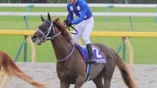 高速決着が想定されるスプリンターズＳ。波乱の使者となるのは「インからイン」を突ける馬