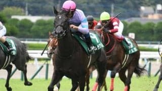 【スプリンターズS予想】あの人気候補に「危険信号」!? 太め残りで筋肉の張りも一息な有力馬とは