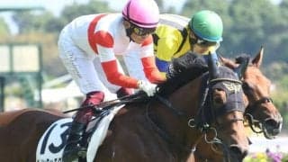 【中京5R新馬戦結果】ダノンザキッドの半弟ダノンタッチダウンが新馬勝ち
