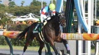 【シリウスS結果】ジュンライトボルトがリステッドから連勝 友道厩舎はダート重賞初V