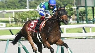 【スプリンターズS予想】後方追走で万事休す!? やはり気になる「致命的」な欠点