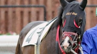 絶滅寸前の稀少血統 オグリキャップの直系にあたる2歳馬が29日門別で初勝利