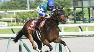 【スプリンターズS前日オッズ】メイケイエールが2.3倍で1番人気