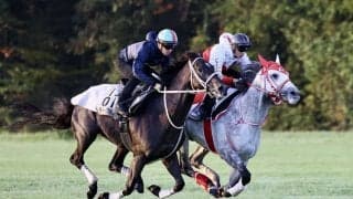 【フォレ賞】出馬表確定