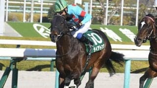 【AI予想・スプリンターズS】GI開幕戦は「大波乱」の予感!? 超大穴予想、人工知能はまさかの「◎」