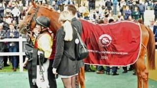 凱旋門賞の血統傾向 ポイントはドイツ血統と大牝系