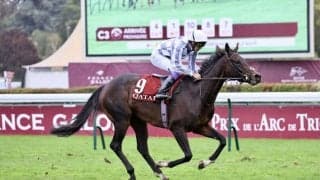 【仏ロワイヤリュー賞】武豊騎乗 ペロタンが6着