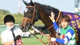 【スプリンターズS予想】スピード自慢が集結して順当決着の傾向