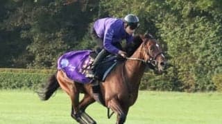 凱旋門賞にまったく違うアプローチで挑む日本馬４頭。悲願の勝利に向け、各陣営が自信を覗かせる「戦略」とは