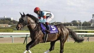 【スプリンターズS予想】1番人気馬の奇数番は凡走フラグか？ 3着には人気薄固定で攻めていけ？