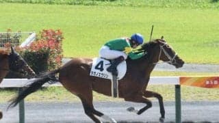 【中京4R新馬戦結果】タガノエヴリンが内を突いて抜け出す