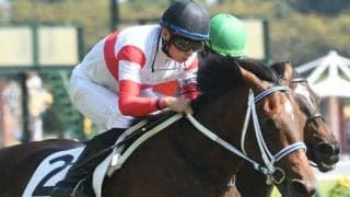 【中京5R新馬戦結果】サトノダイヤモンド産駒ダノンペドロが押し切りV