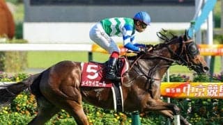 【スプリンターズS・馬体重】メイケイエールは482kg(-2)、ナムラクレアは466kg(-4)