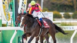 【大井・東京盃枠順確定】テイエムサウスダンは7枠7番、レッドルゼルは8枠8番