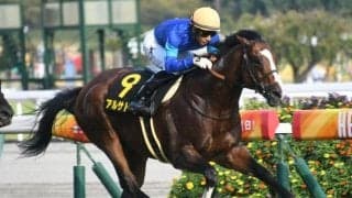 【ポートアイランドS結果】アルサトワが逃げ切ってリステッド2勝目