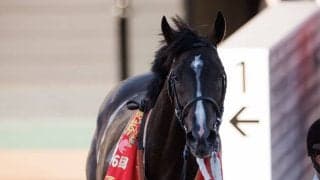 【スプリンターズS】伏兵ジャンダルムが秋のスプリント王者に