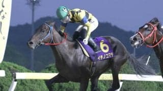 【佐賀・九州ジュニアチャンピオン結果】イチノコマチが3頭の競り合いを制し重賞初V