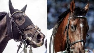 凱旋門賞の国内外オッズを比較 タイトルホルダーは日本では1番人気、海外では7番人気