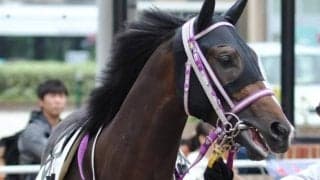 10月2日の競走中止、出走取消、疾病の一覧 メイショウナパワン落馬など/中山・中京