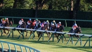 WIN5は427票的中！