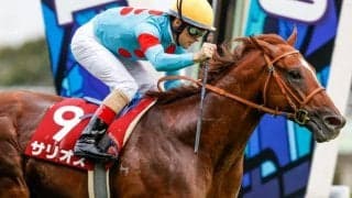 JRAは3日間開催で毎日王冠など3重賞 地方ダートグレードも目白押し/今週の競馬界の見どころ