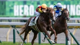 【サウジアラビアRC登録馬】ノッキングポイントなど10頭