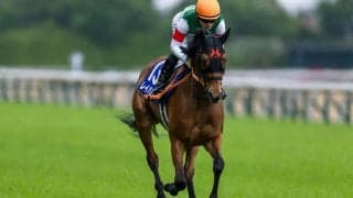 【毎日王冠登録馬】レイパパレなど10頭