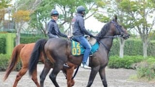 重賞3勝馬バウンスシャッセの仔 レヴォルタードがデビュー迎える/関東馬メイクデビュー情報