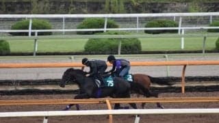 シュヴァルグランなど兄・姉にGI馬3頭 良血馬グランヴィノスが始動/関西馬メイクデビュー情報