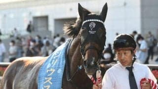 名牝系から新たな重賞馬が誕生 日本の大種牡馬と相性抜群