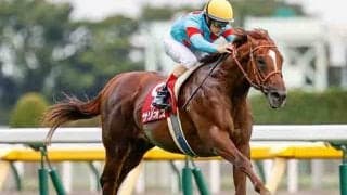 【毎日王冠想定騎手】サリオスは松山弘平騎手、レイパパレは川田将雅騎手