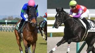 2020年の秋華賞4着馬、芝ダート合計6勝の活躍馬、重賞馬の甥らがJRA登録抹消