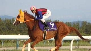 重賞13勝のハクサンアマゾネスが強力中央馬に挑む/金沢・白山大賞典注目馬