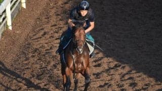 オープンファイアなど、先週の入厩情報/栗東トレセンニュース