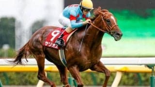 【毎日王冠予想オッズ】サリオスが予想1番人気